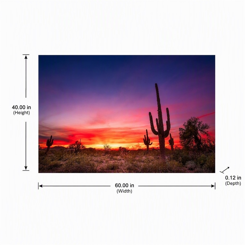 Pemberly Row Wall Art Desert Dreamscape Frameless Glass Multicolor