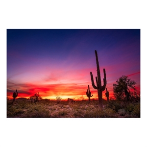 Pemberly Row Wall Art Desert Dreamscape Frameless Glass Multicolor