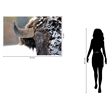 Pemberly Row Frameless Tempered Glass Wall Art Snowy Bison 60