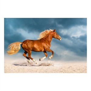 Pemberly Row Frameless Tempered Glass Wall Art Golden Gallop 60&quotx40&quot Multicolor