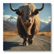 Pemberly Row Frameless Tempered Glass Wall Art Highway Cow 60