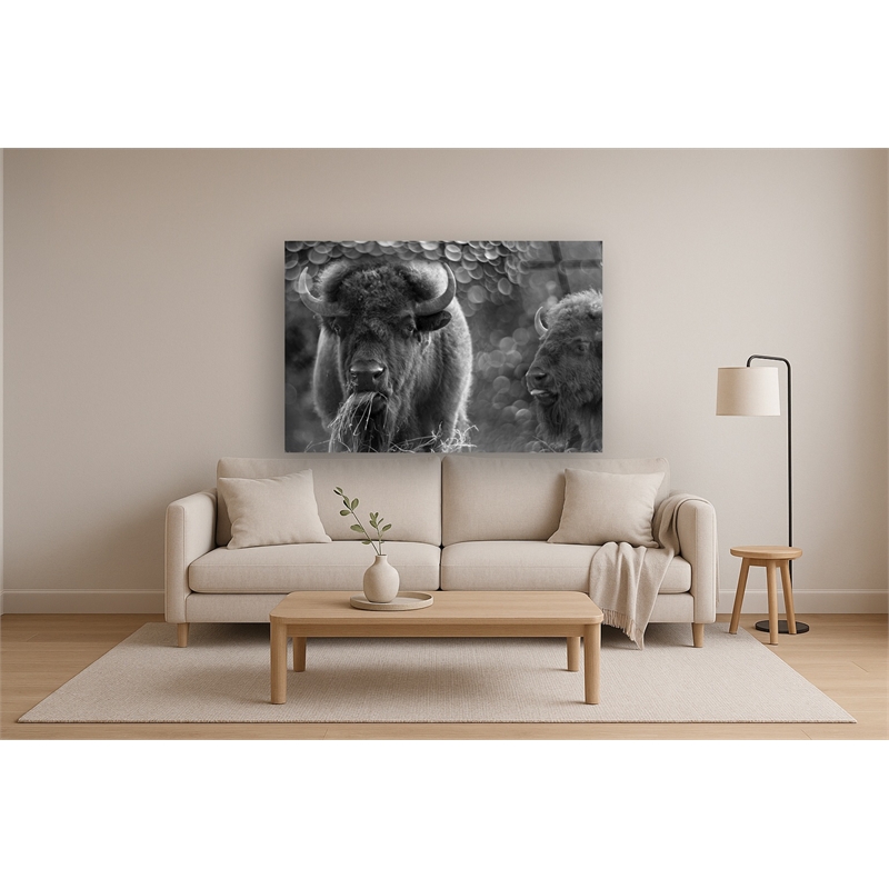 Pemberly Row Bison Duo Frameless Tempered Glass Wall Art - Multicolor