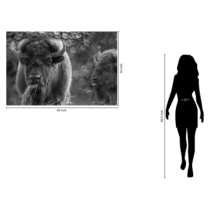 Pemberly Row Bison Duo Frameless Tempered Glass Wall Art - Multicolor