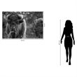 Pemberly Row Bison Duo Frameless Tempered Glass Wall Art - Multicolor
