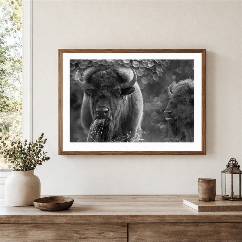 Pemberly Row Bison Duo Frameless Tempered Glass Wall Art - Multicolor