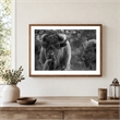 Pemberly Row Bison Duo Frameless Tempered Glass Wall Art - Multicolor