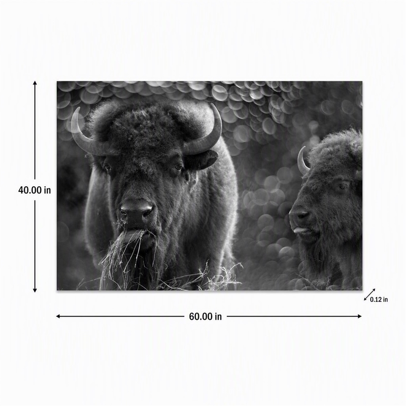 Pemberly Row Bison Duo Frameless Tempered Glass Wall Art - Multicolor