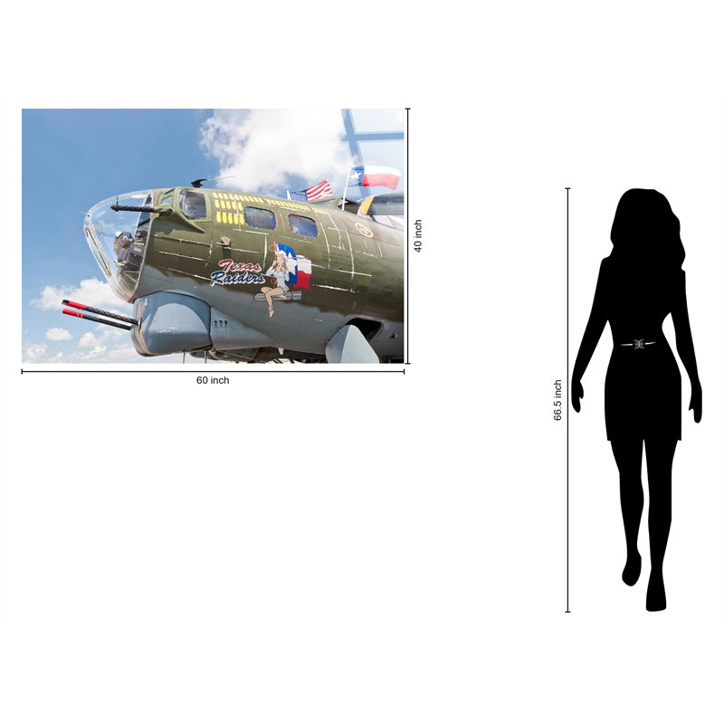 Pemberly Row Frameless Tempered Glass Wall Art - Multicolor - Aviation Theme