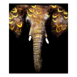 Pemberly Row Gold Tribal Elephant Wall Art - Frameless Glass - Multicolor