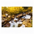 Pemberly Row Aspen Frameless Tempered Glass Wall Art in Multicolor