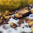Pemberly Row Aspen Frameless Tempered Glass Wall Art in Multicolor