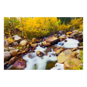Pemberly Row Aspen Frameless Tempered Glass Wall Art in Multicolor