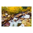 Pemberly Row Aspen Frameless Tempered Glass Wall Art in Multicolor
