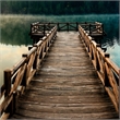 Pemberly Row Frameless Tempered Glass Wall Art Dock Views 60
