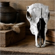 Pemberly Row Cattle Skull Tempered Glass Wall Art - 40