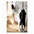 Pemberly Row Cattle Skull Tempered Glass Wall Art - 40