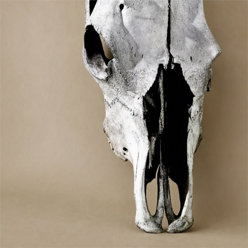 Pemberly Row Cattle Skull Tempered Glass Wall Art - 40
