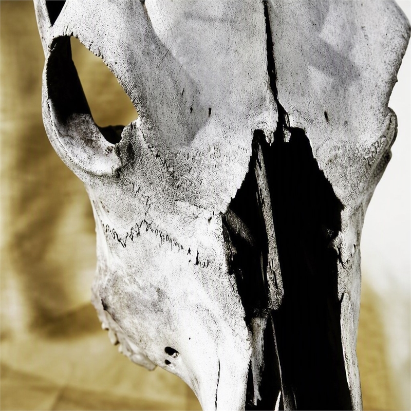 Pemberly Row Cattle Skull Tempered Glass Wall Art - 40