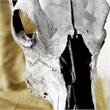 Pemberly Row Cattle Skull Tempered Glass Wall Art - 40