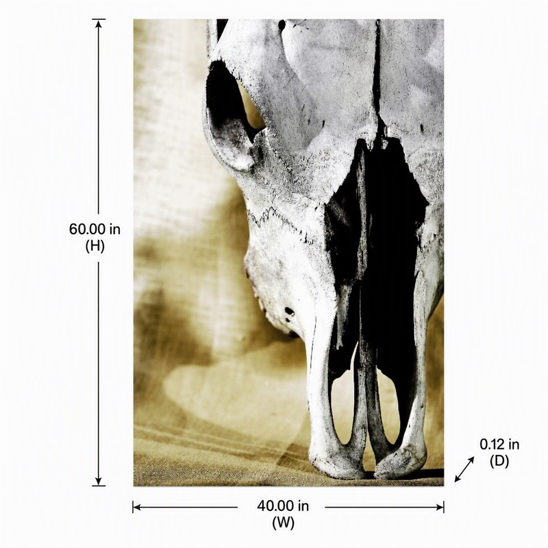 Pemberly Row Cattle Skull Tempered Glass Wall Art - 40