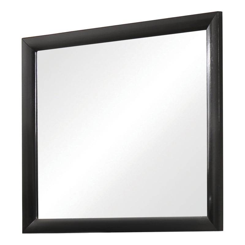 Pemberly Row Contemporary Rectangular Asian Hardwood Mirror in Black