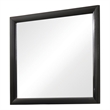 Pemberly Row Contemporary Rectangular Asian Hardwood Mirror in Black