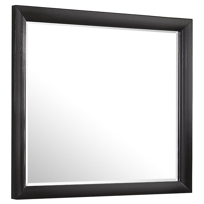 Pemberly Row Contemporary Rectangular Asian Hardwood Mirror in Black