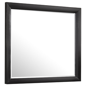 Pemberly Row Contemporary Rectangular Asian Hardwood Mirror in Black