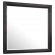 Pemberly Row Contemporary Rectangular Asian Hardwood Mirror in Black
