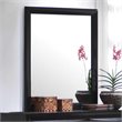 Pemberly Row Contemporary Rectangular Asian Hardwood Mirror in Black