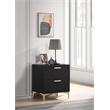 Pemberly Row 2-drawer Nightstand with Gold Bracket Legs in Black