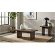 Pemberly Row 2-Piece Transitional Wood Coffee and End Table Set in Walnut