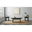 Pemberly Row 3-Piece Transitional Wood Coffee and End Table Set in Black