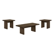 Pemberly Row 3-Piece Transitional Wood Coffee and End Table Set in Walnut