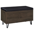 Pemberly Row 2-Door Padded Entryway Shoe Storage Bench in Smoked Oak
