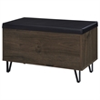 Pemberly Row 2-Door Padded Entryway Shoe Storage Bench in Smoked Oak