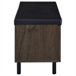 Pemberly Row 2-Door Padded Entryway Shoe Storage Bench in Smoked Oak
