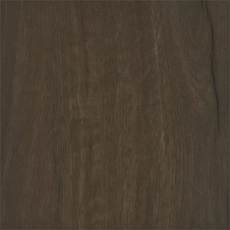 Pemberly Row 2-Door Entryway Shoe Storage Cabinet in Smoked Oak