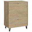 Pemberly Row 2-Door Entryway Shoe Storage Cabinet in White Oak