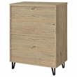 Pemberly Row 2-Door Entryway Shoe Storage Cabinet in White Oak
