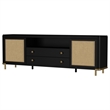 Pemberly Row Rattan Cane 2-Door TV Stand Media Console in Black