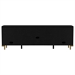 Pemberly Row Rattan Cane 2-Door TV Stand Media Console in Black