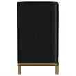 Pemberly Row Rattan Cane 2-Door TV Stand Media Console in Black