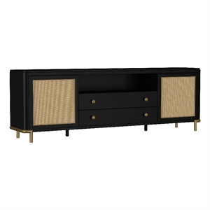 Pemberly Row Rattan Cane 2-Door TV Stand Media Console in Black