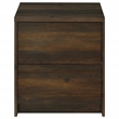 Pemberly Row 2-drawer Nightstand with LED Lights and USB Ports in Dark Pine