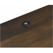 Pemberly Row 2-drawer Nightstand with LED Lights and USB Ports in Dark Pine