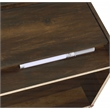 Pemberly Row 2-drawer Nightstand with LED Lights and USB Ports in Dark Pine