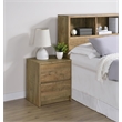 Pemberly Row 2-drawer Nightstand with LED Lights and USB Ports in Mango
