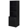 Pemberly Row 3-Piece Wood Queen Bedroom Set Bookcase Headboard in Black