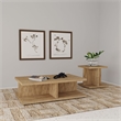 Pemberly Row 2-piece Engineered Wood Coffee and End Table Set in Mango